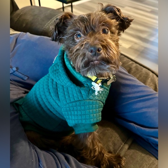 Meet your Posher, Stephanie - Picture 4 of 4